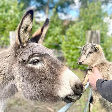 Tatil Evi La Belle Vallee - De Charme - - Petanque *