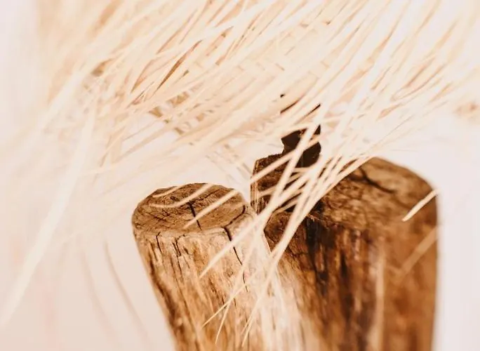 La Belle Vallee - De Charme - - Petanque *