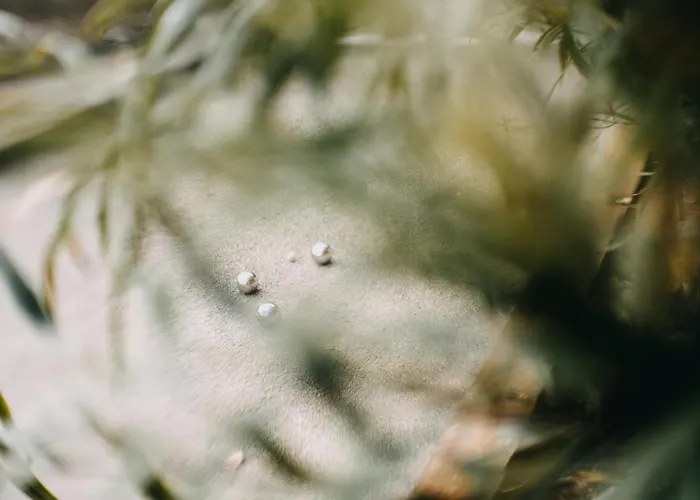 La Belle Vallee - De Charme - - Petanque *