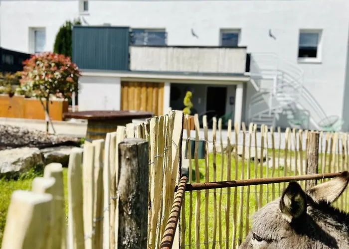 La Belle Vallee - De Charme - - Petanque *