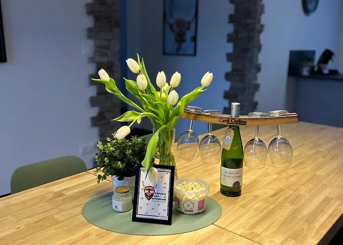 La Belle Vallee - De Charme - - Petanque Prázdninový dům Ormersviller